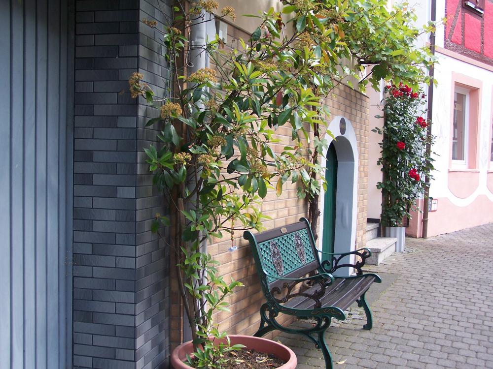 Banc de façade, plantes grimpantes 